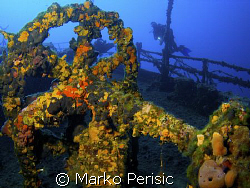 Incrusted in soft corals the fly wheel on the wreck of th... by Marko Perisic 
